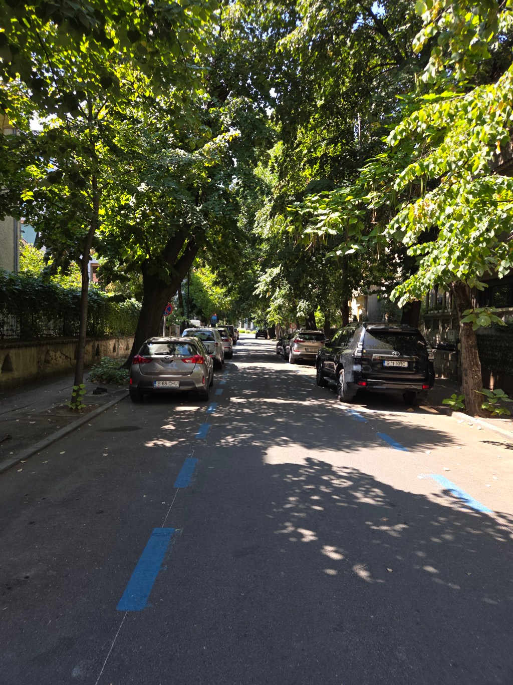 Protejat: Plimbărici